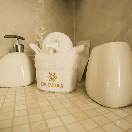 Calendula Ayurvedic & Medical Szálloda Siófok