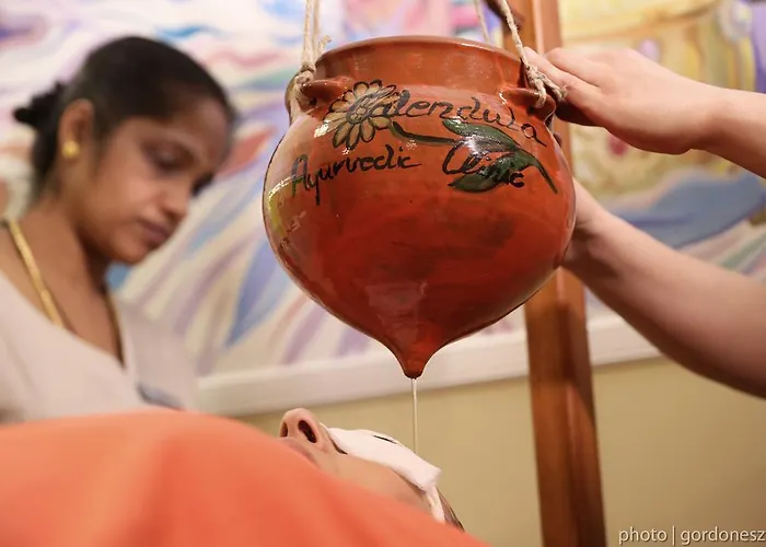 Calendula Ayurvedic & Medical 4* شيوفوك