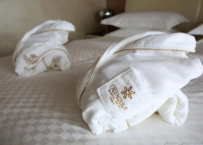 Calendula Ayurvedic & Medical فندق